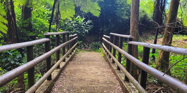 Sophie nature park a peaceful nature walk in the heart of mauritius  (4)
